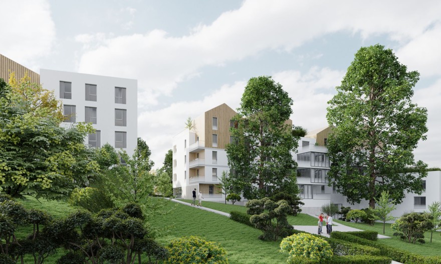 projet Au Rythme des Arbres - Photo 1