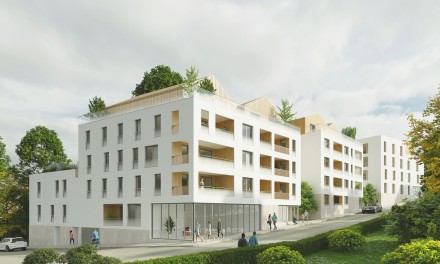 projet Au Rythme des Arbres - Photo 2