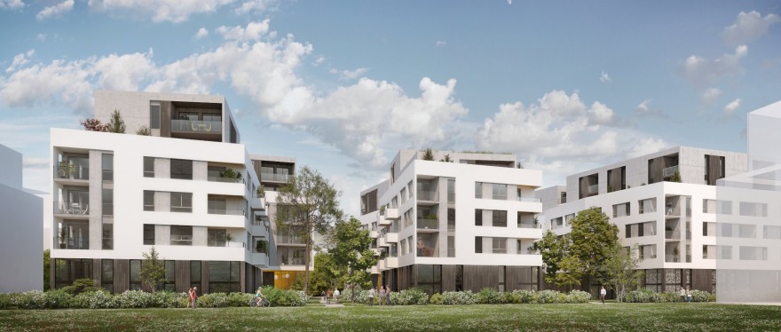 projet Babolat - Photo 1