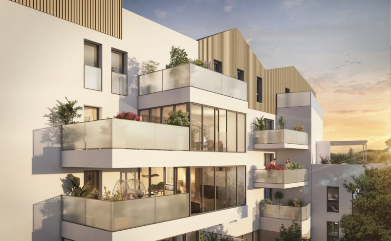 projet Au Rythme des Arbres - Photo 4