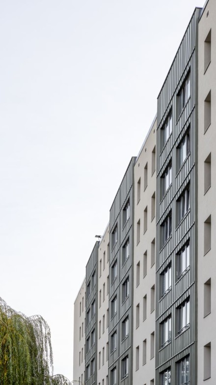 projet Le Bas Pérollier - Photo 2