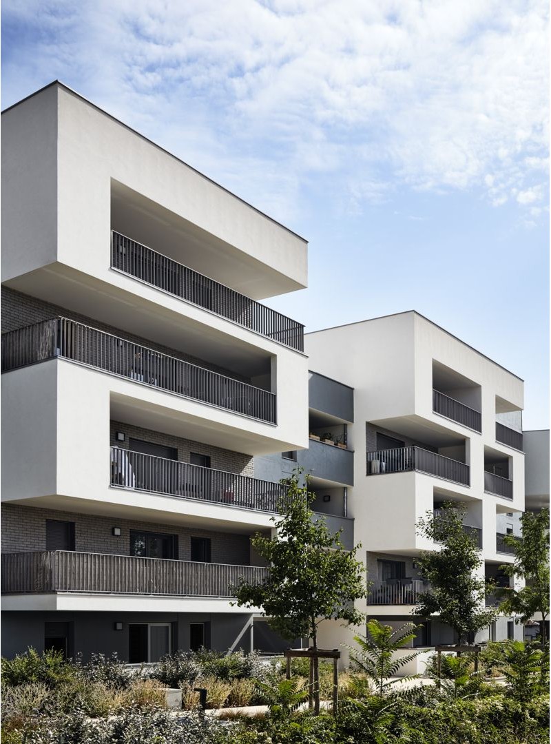 projet Émergence - Photo 5