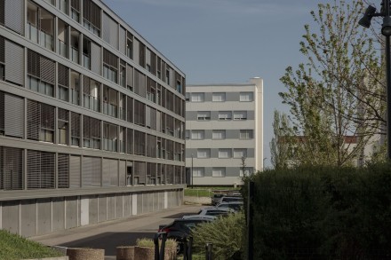 projet Édouard Hérriot - Photo 3