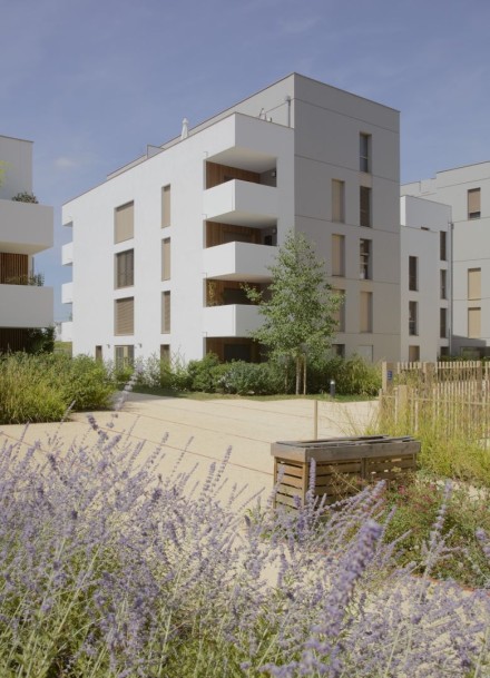 projet Le Millésime - Photo 3